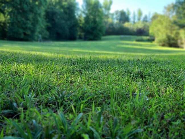 Building Photo - 175 Schools Dr