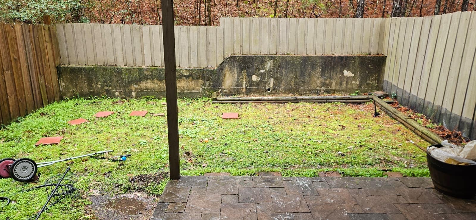 back yard - 344 Amber Ln