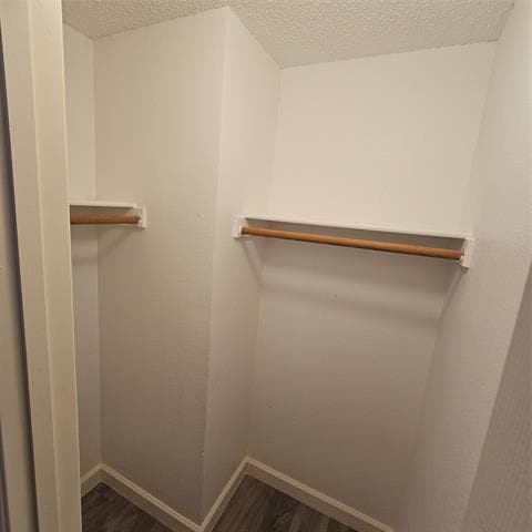 Building Photo - 2817 Oleander Dr