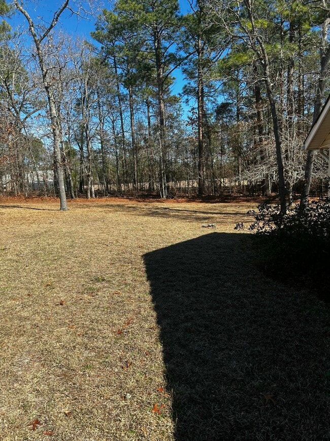 Building Photo - 312 Sorin Cir