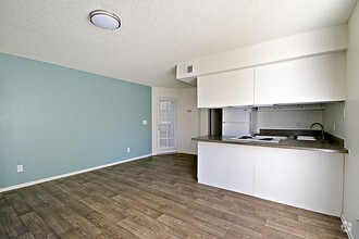 Open Living Space - Suite 16