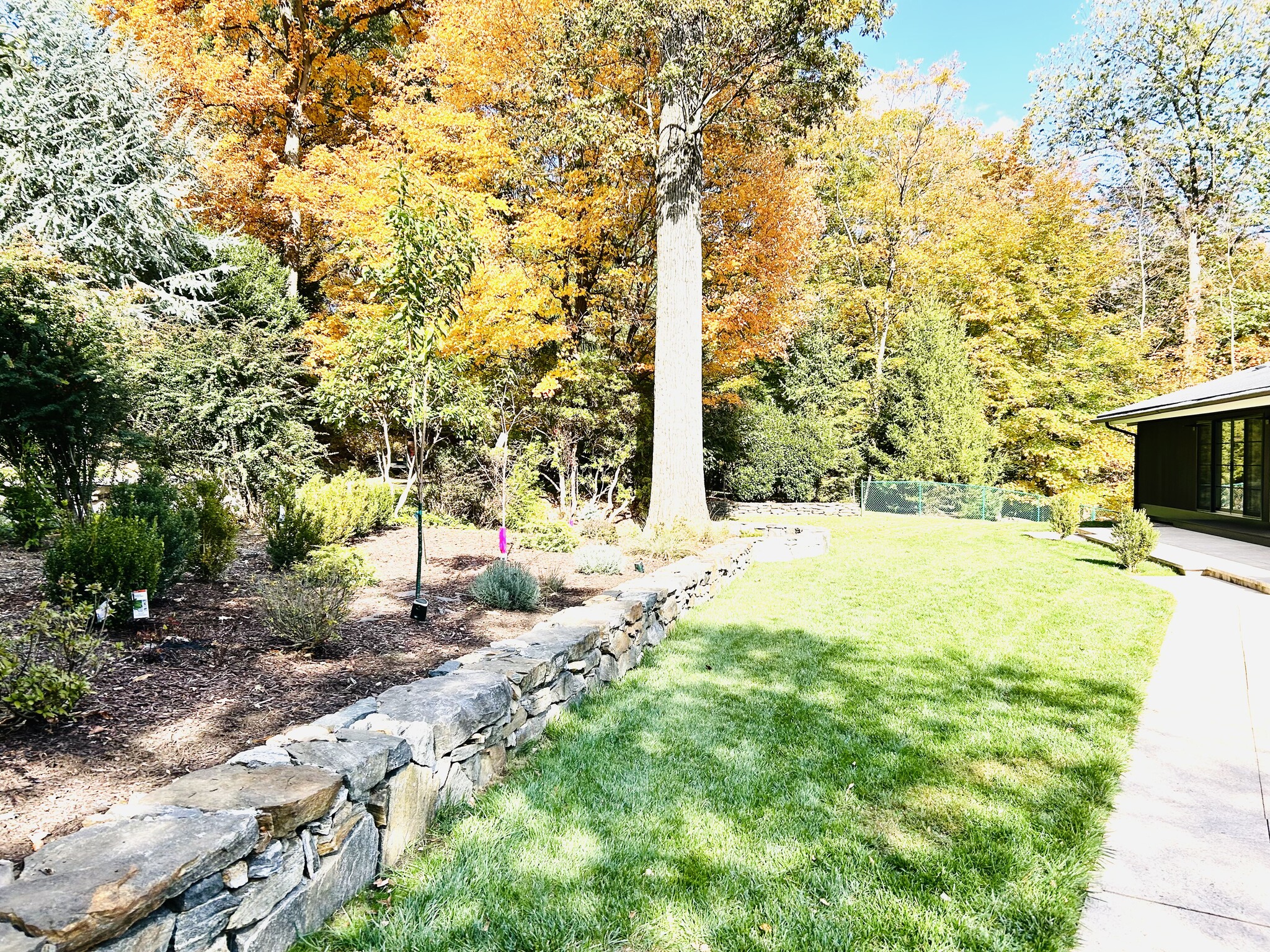 Front yard - 16 Park Hill Ter