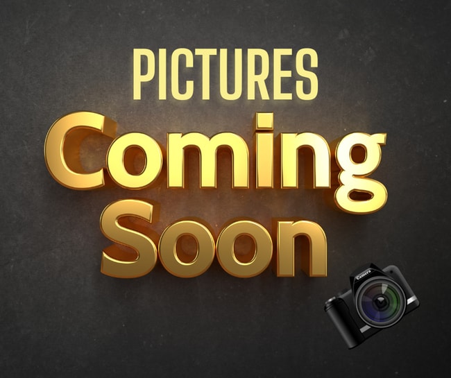 Primary Photo - Renovated 2B Duplex