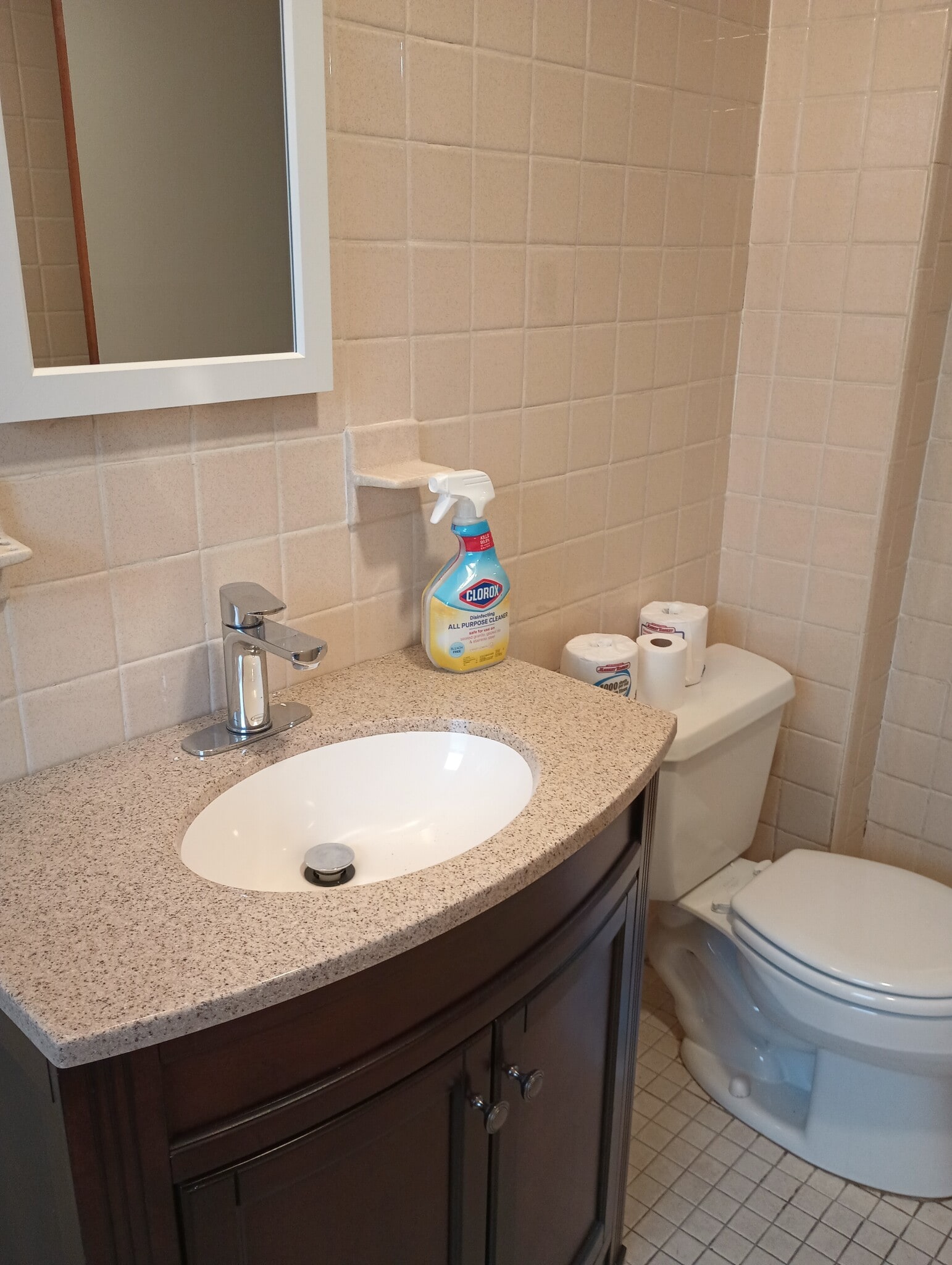 Bathroom different angle - 139 Sigourney St