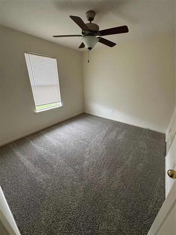 Building Photo - 19314 Grand Colony Ct