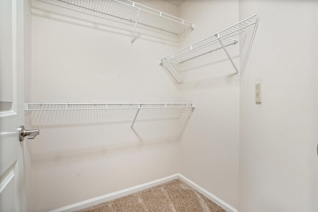 Building Photo - 5066 Stratford Pine Ln