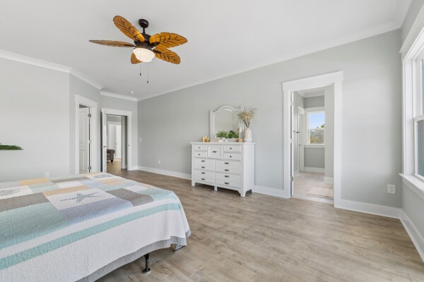 Building Photo - 305 Lineback Pl