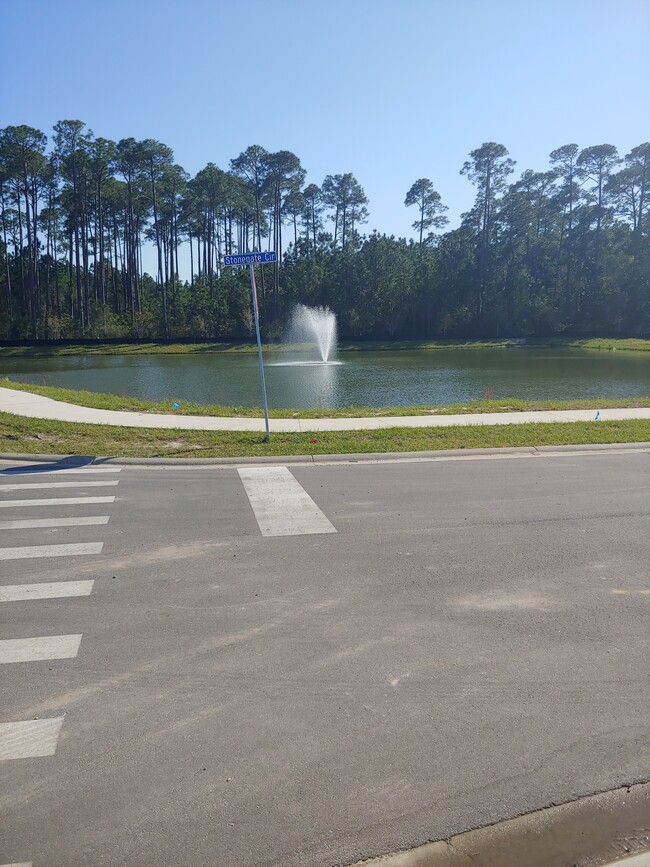 Retention pond view from front porch - 133 Stonegate Drive