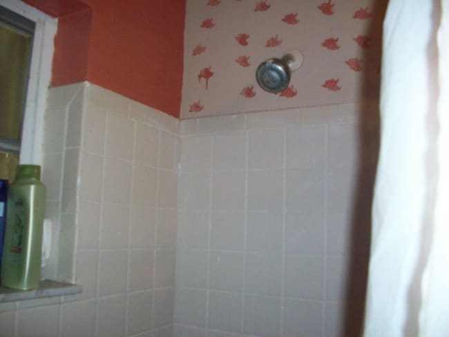 Building Photo - 5419 Blueberry Hill Ave