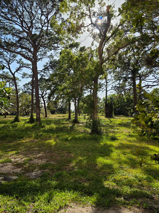 Building Photo - Condo For Rent in Tarpon Point
