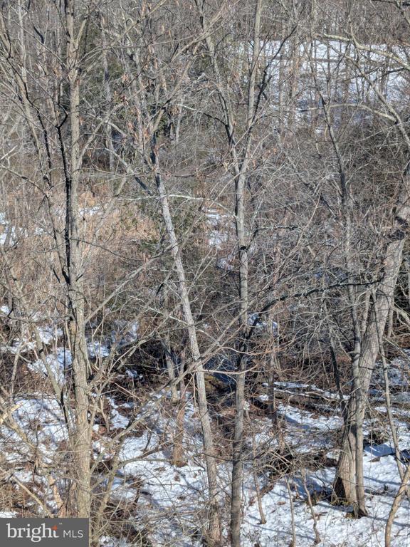 Building Photo - 25 Millstream Rd