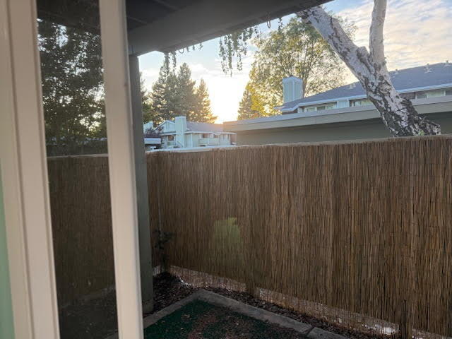 Building Photo - Beautifully remodeled/updated condo !