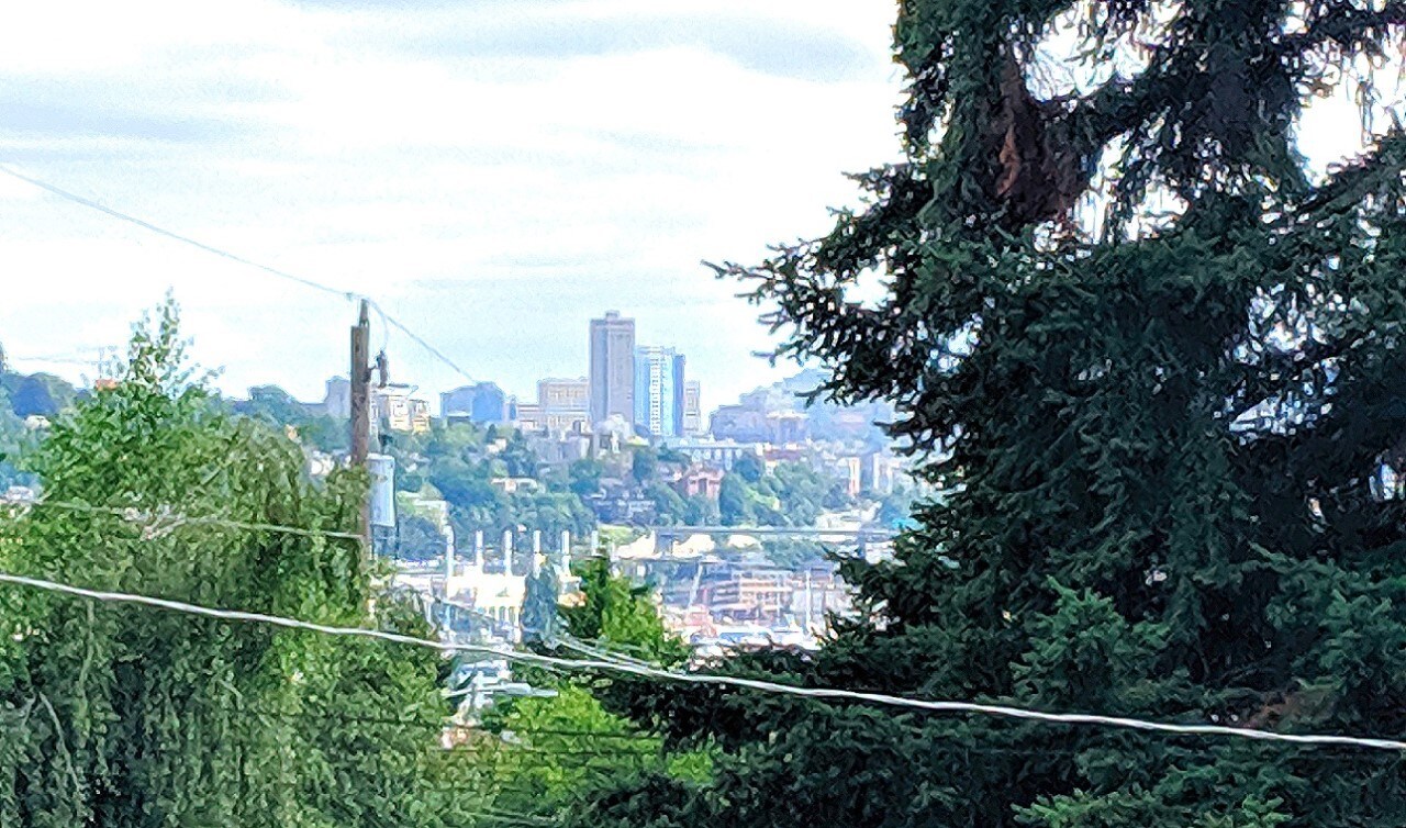 Walkway view - 3903 Meridian Ave N