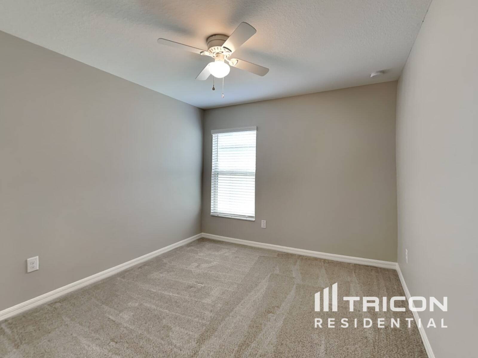 Building Photo - 4128 Salt Springs Ln