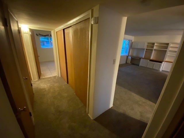 Building Photo - 6719 E Calle Cappela