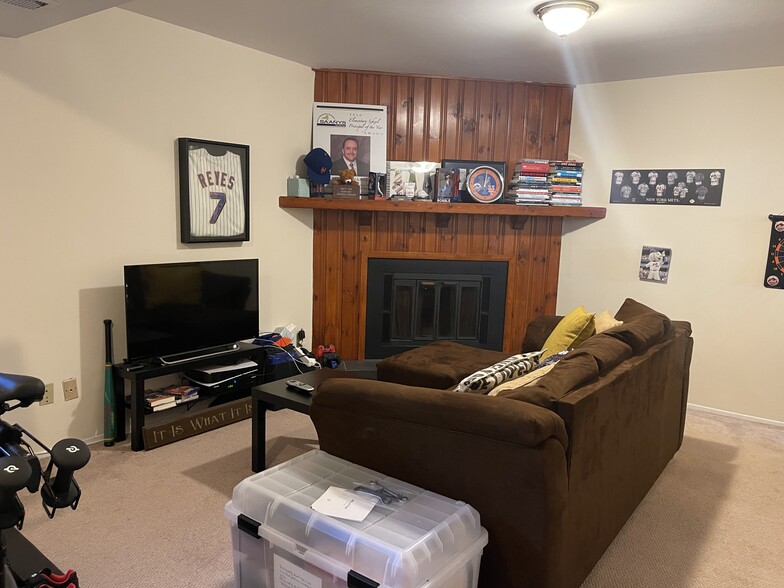 FAMILY ROOM WITH FIREPLACE - 1 The Hamlet
