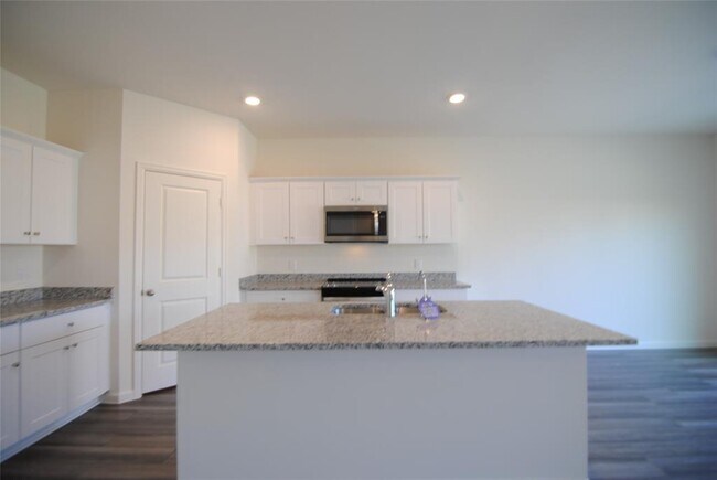 Building Photo - 1033 Lacebark Pne Ln