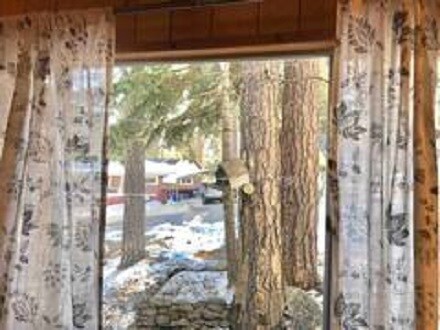 Building Photo - 31808 Luring Pines Dr