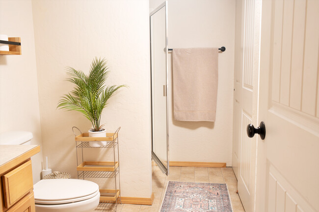 Downstairs Bathroom - Shower stall, no tub - Shower Handle / Hose - 2805 W Dumont Dr