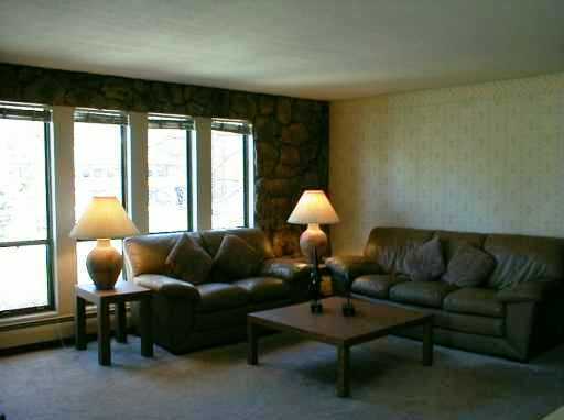 Building Photo - Lake Cliffe Condo - Spacious 2 Bedroom/2 B...