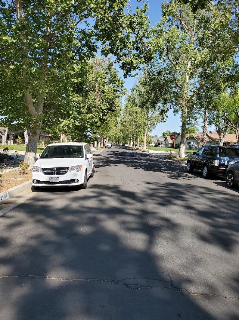 Street view , front of house - 24113 Archwood St