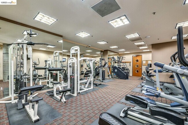 Building Photo - Bright 2 bedroom with open floor plan and spacious terrace!