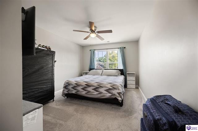 Building Photo - 113 Graystone Ct