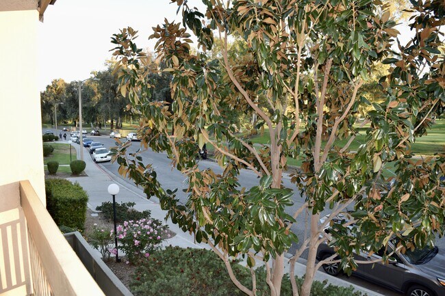 Building Photo - 24525 Trevino Dr