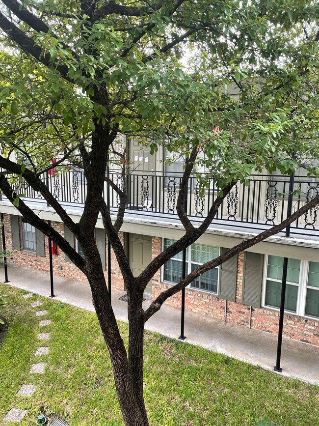 Building Photo - 3131 Southwest Fwy