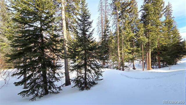 Building Photo - 10000 Ryan Gulch Rd