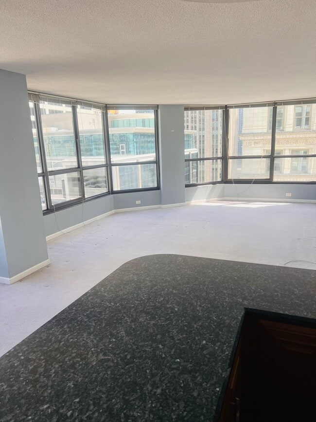Building Photo - 405 N Wabash Ave
