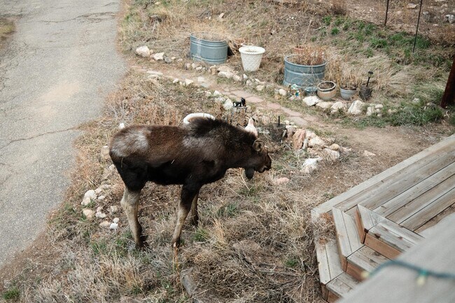 Building Photo - 173 Lodge Pole Way