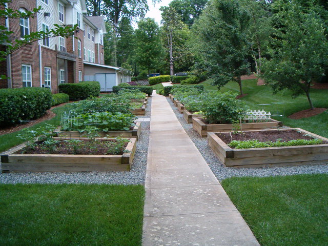 Building Photo - The Gables at Druid Hills Senior Apartments