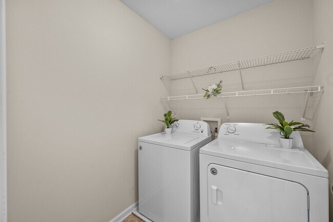 Building Photo - 431 Bald Cypress Ln