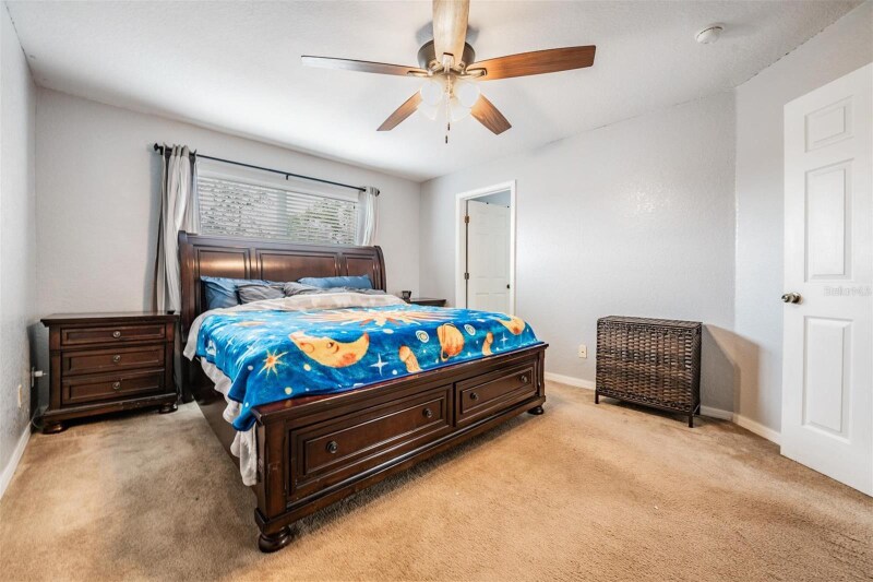 Building Photo - 11367 Cocoa Beach Dr