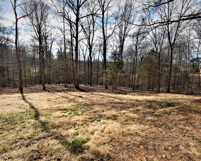 Building Photo - 3 Bedroom Pet Friendly Home For Rent in Th...