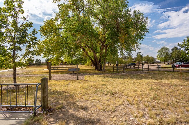 Building Photo - 15955 Golden Eye Ct