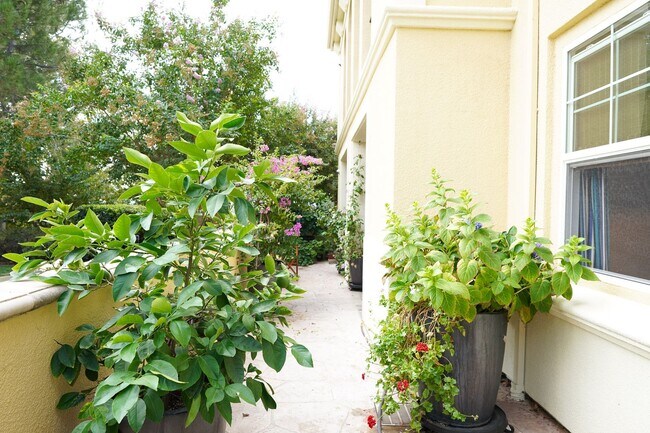 Building Photo - Beautiful Mediterranean-style Livermore Condo!