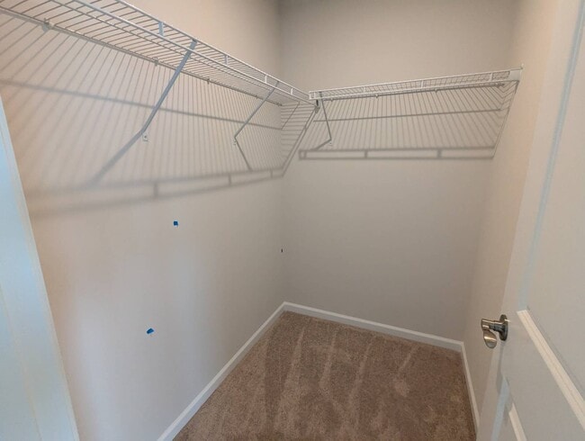 Building Photo - 3099 Blenheim Ct