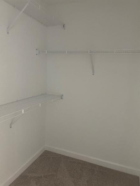 Building Photo - 4393 Hammock Grove Dr