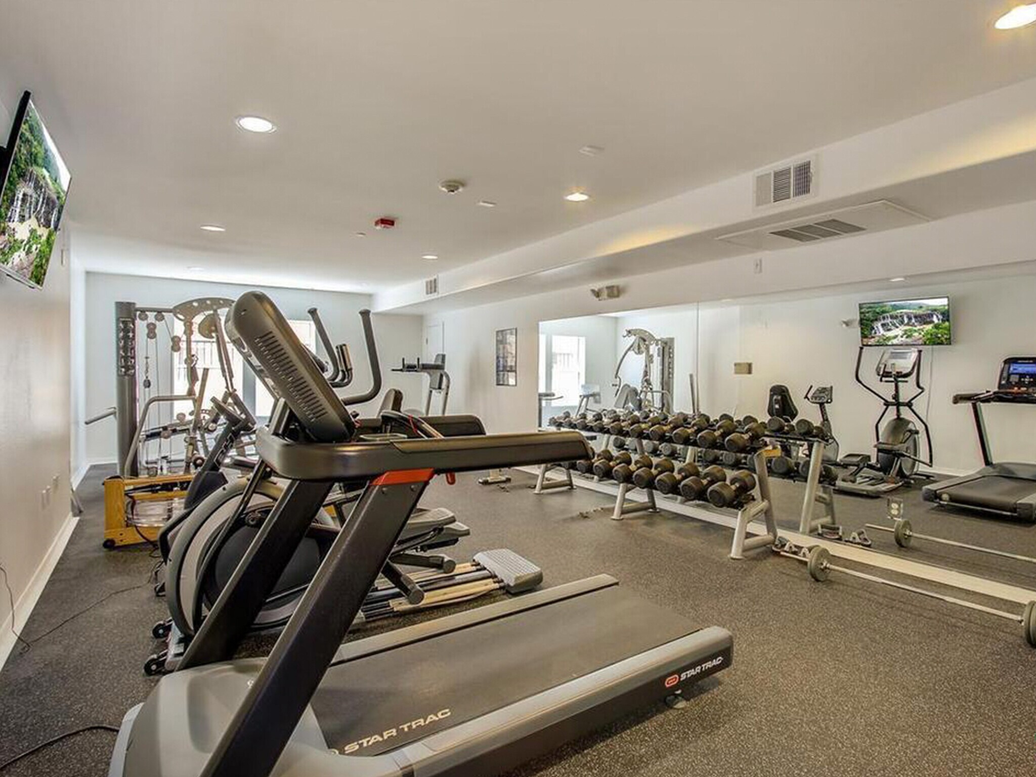 Building Photo - 3636 Jasmine Ave