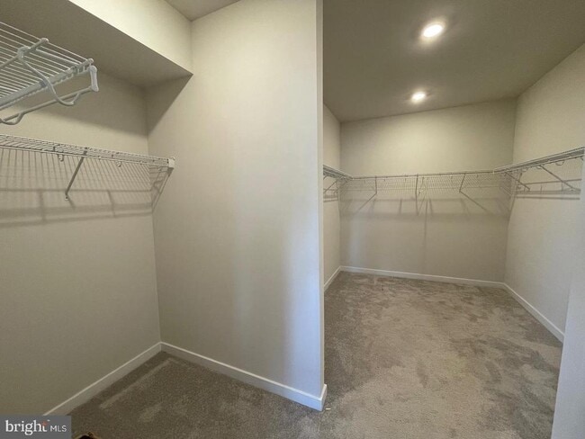 Building Photo - 2328 Hawkshill Dr