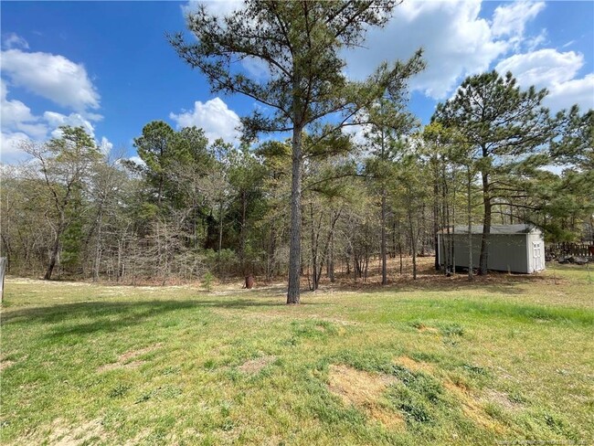 Building Photo - 178 Angel Oak Dr