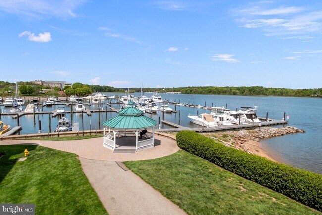 Building Photo - 440 Belmont Bay Dr