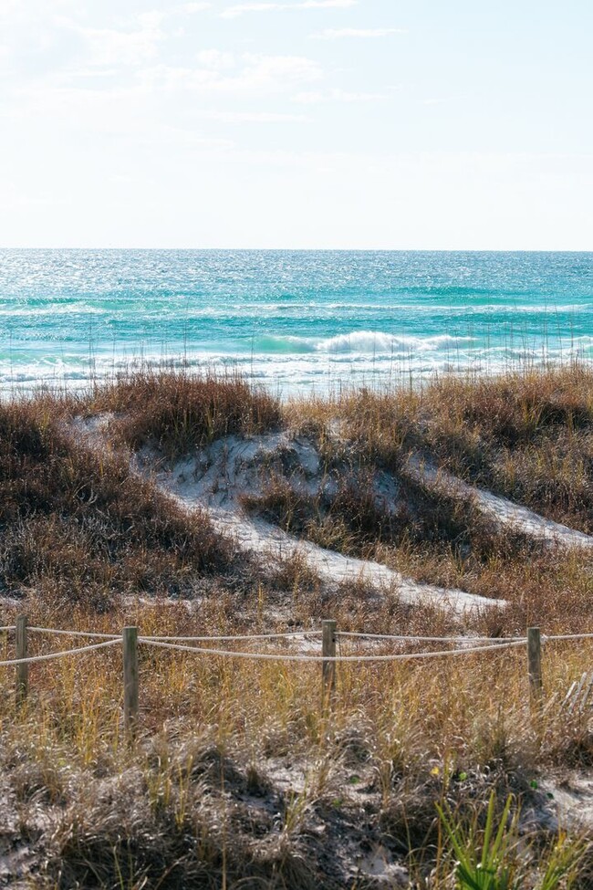 Building Photo - Newly Renovated Beach Front Four Bedroom Home