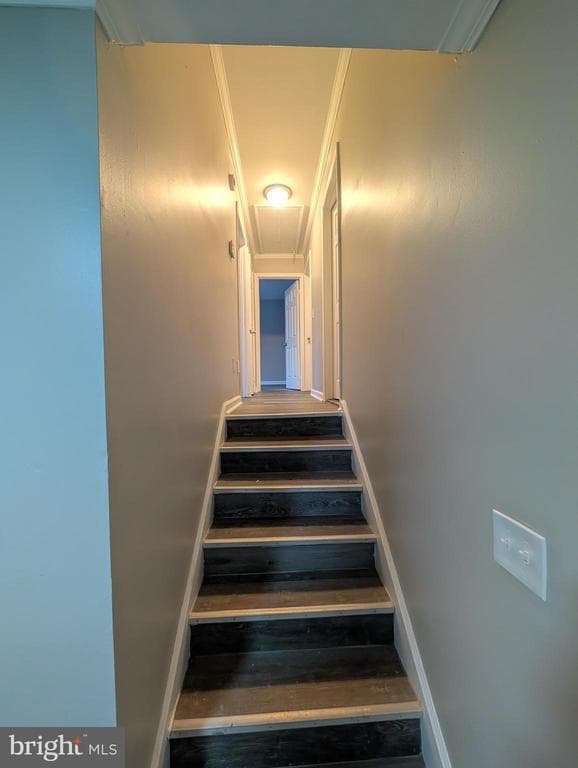 Building Photo - 2 Hawkesbury Ct