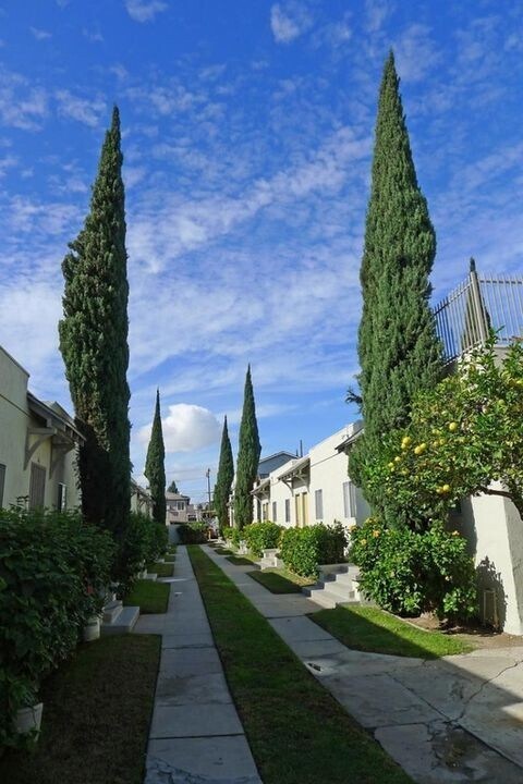 Building Photo - 575 - 577 Walnut Avenue,