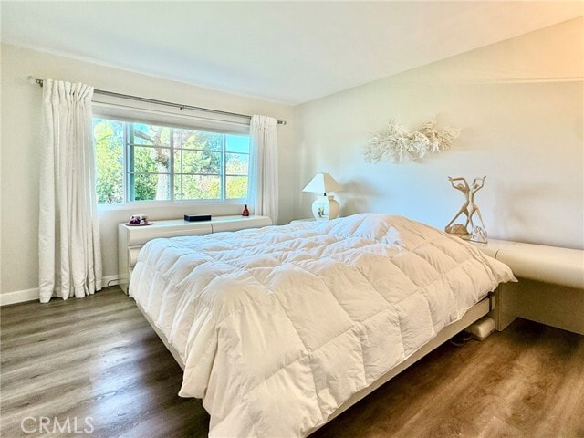 Building Photo - 23611 Vía Storni