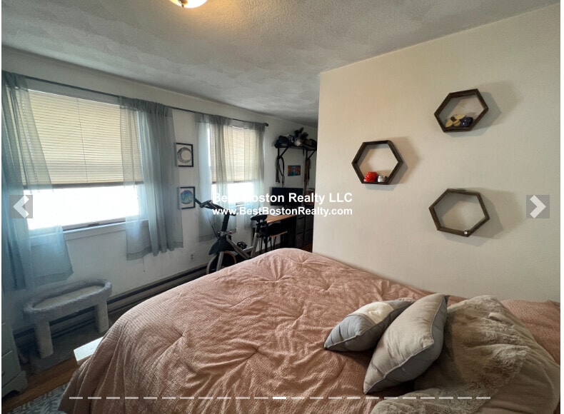 Building Photo - 217 Holland St