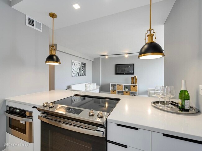 Building Photo - 1355 N Sandburg Terrace